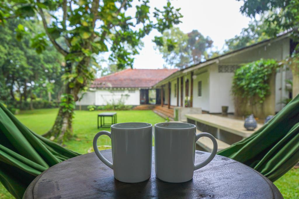 Bed and Breakfast Templeberg Walahanduwa Zewnętrze zdjęcie