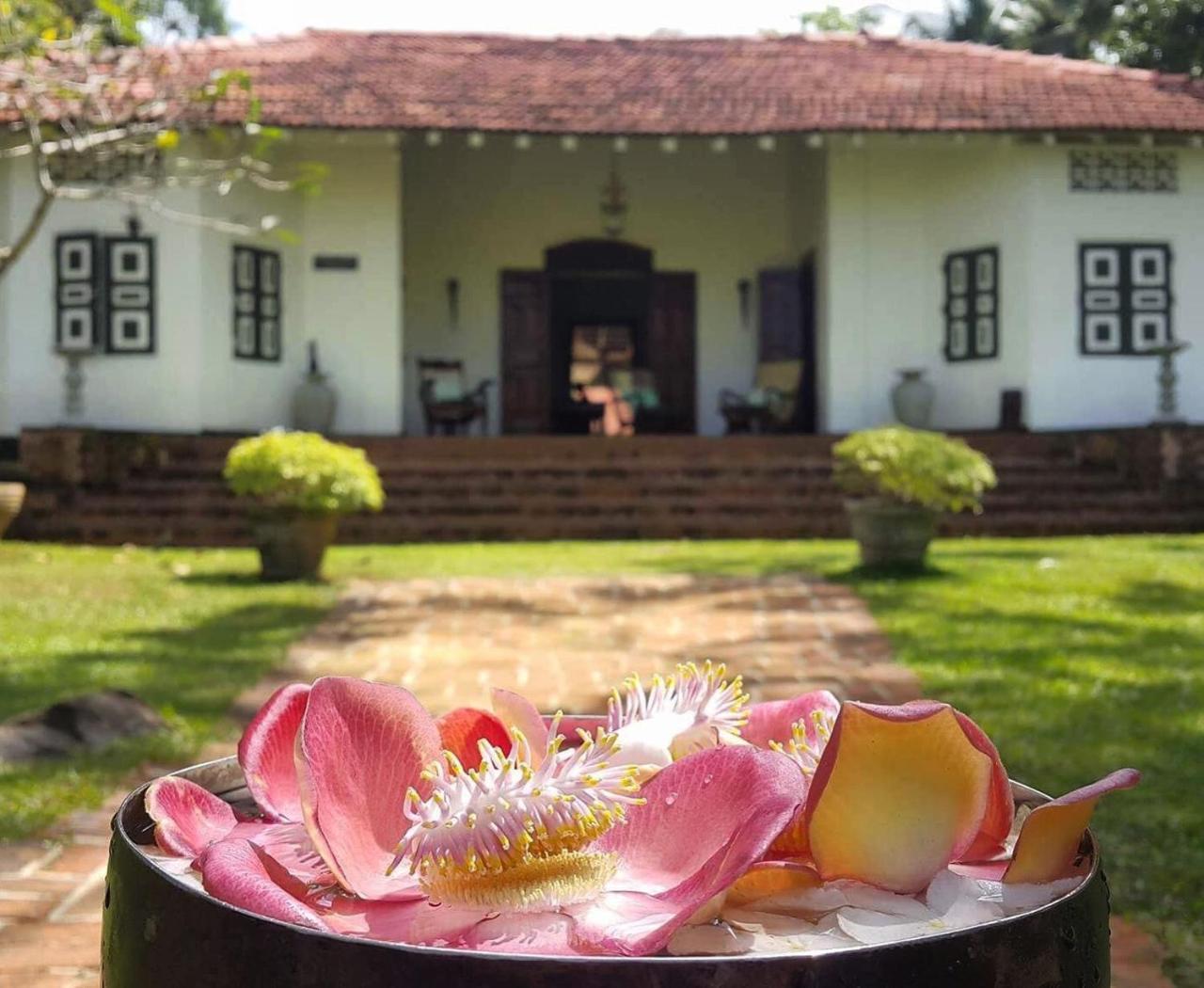 Bed and Breakfast Templeberg Walahanduwa Zewnętrze zdjęcie